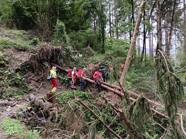 Erfolgreiche Suche nach einem Pilzsammler bei Pill. | Foto: zoom.tirol