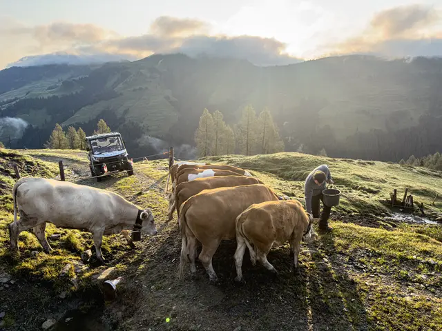 Foto: ServusTV/Eduardo Gellner