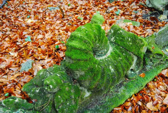 Foto: © Hans Steiner