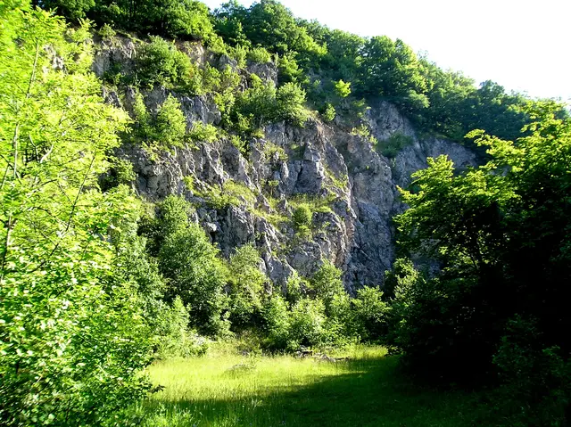 Foto: © Hans Steiner