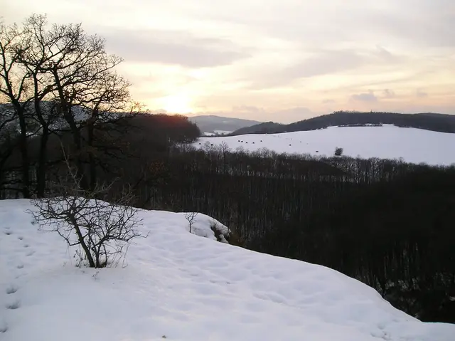 Foto: © Hans Steiner