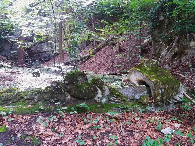 Foto: © Hans Steiner