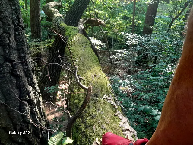 Foto: © Hans Steiner