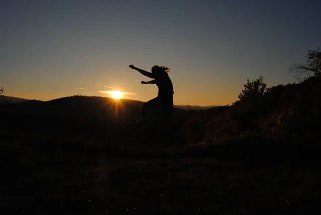 Foto: © Hans Steiner