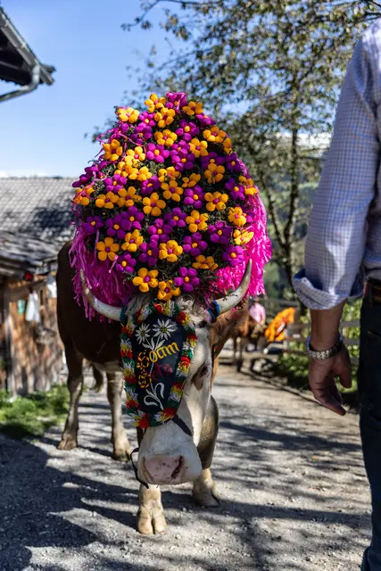 Foto: ServusTV/Eduardo Gellner