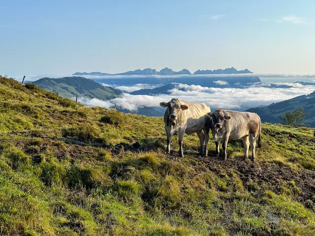 Foto: ServusTV/Eduardo Gellner