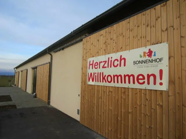 Zusammen mit dem Amtstierarzt und dem Tierschutzhaus „Sonnenhof“ konnten die Hunde eingefangen und medizinisch betreut werden. | Foto: Stefan Schneider
