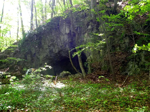 Foto: © Hans Steiner