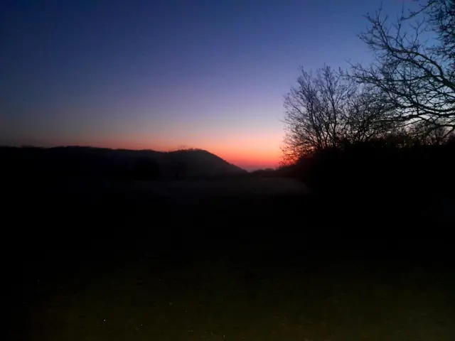 Foto: © Hans Steiner