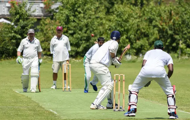 Cricket ist vor allem in Indien, Australien oder England beliebt, hat aber auch in Kärnten zahlreiche Fans. | Foto: Privat