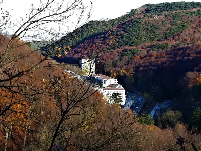 Foto: © Hans Steiner