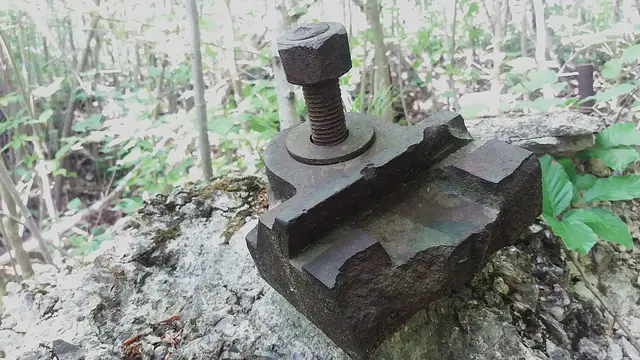 Foto: © Hans Steiner