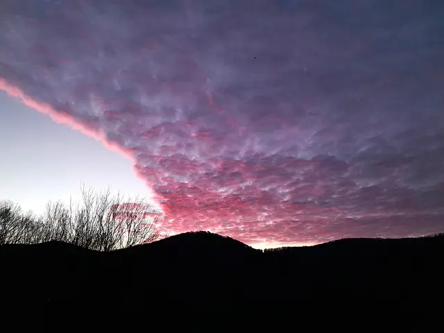 Foto: © Hans Steiner