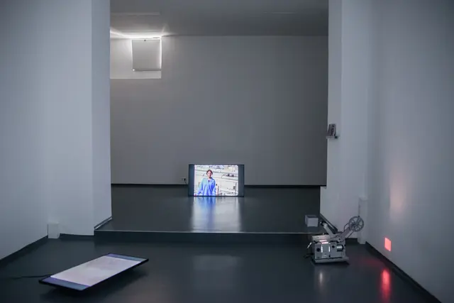 Daniela Guttmann präsentierte ihre Masterarbeit im Linzer Kunstraum bb15. | Foto: Magdalena Berger