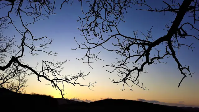 Foto: © Hans Steiner