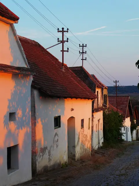 Voller Erfolg: Sommer Genusstour im Weinviertel begeisterte mit Genuss, Einblick & Regionalität Entdecken, kosten und mitnehmen – unter diesem Motto lud das Weinviertel zur diesjährigen Sommer Genusstour. (Symbolfoto) | Foto: Pixabay