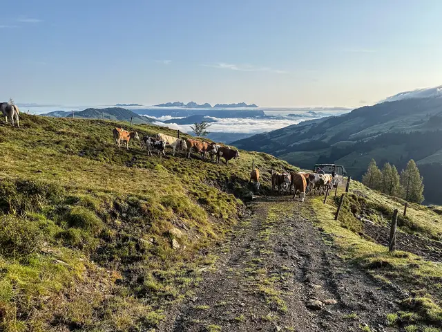 Foto: ServusTV/Eduardo Gellner