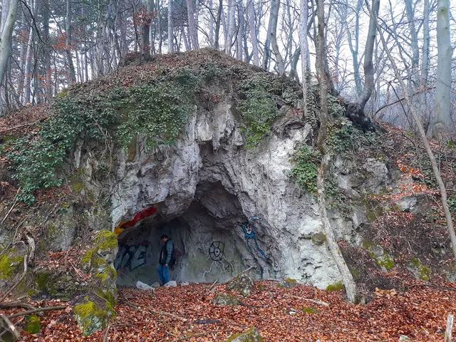 Foto: © Hans Steiner