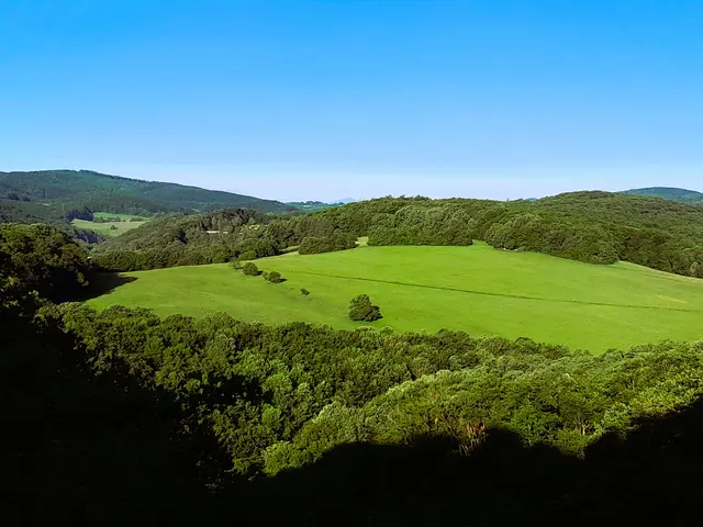 Foto: © Hans Steiner