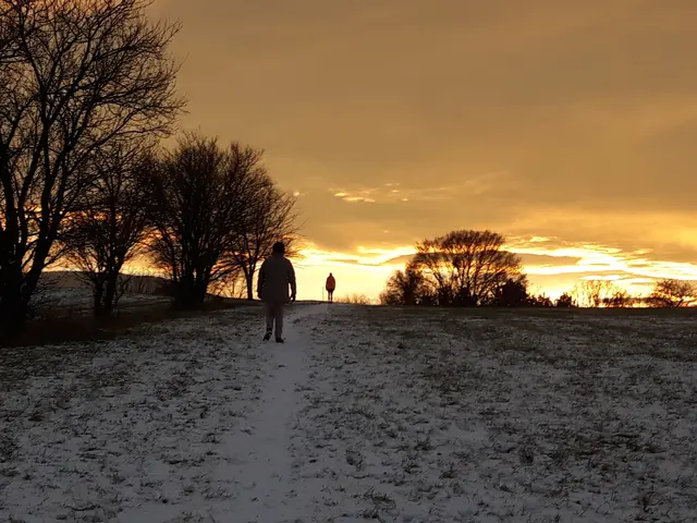 Foto: © Hans Steiner