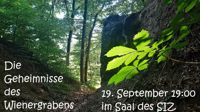 Foto: © Hans Steiner