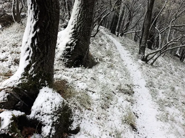 Foto: © Hans Steiner