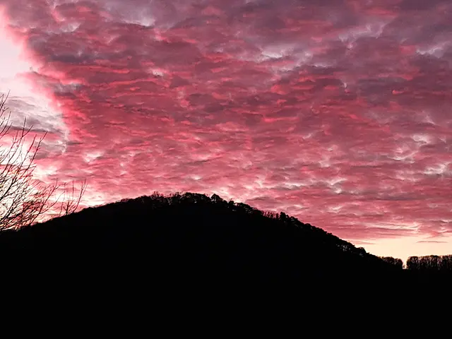 Foto: © Hans Steiner