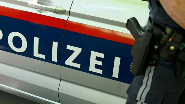 Der Pkw kollidierte mit einem Einsatzfahrzeug der Polizei. Symbolfoto). | Foto: LPD Wien