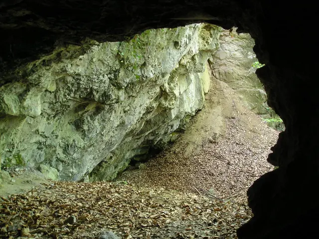 Foto: © Hans Steiner