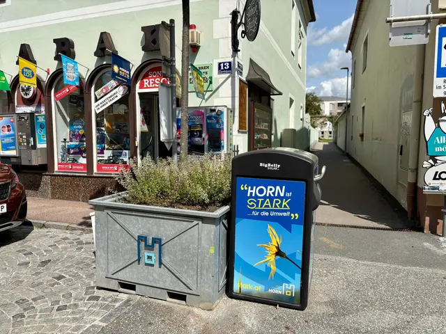 Vor ihrer Trafik blockieren zudem ein Blumentrog und ein Mülleimer wertvolle Stellflächen – die versprochene Versetzung des Mülleimers auf die gegenüberliegende Straßenseite wurde bis heute nicht umgesetzt. | Foto: Markus Kahrer