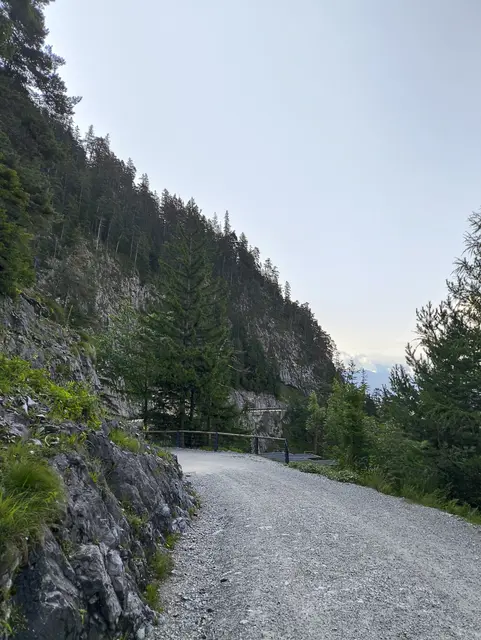 Höhenmeter für Höhenmeter nach oben  | Foto: Martina Laserer 
