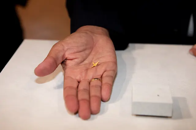 Der Originalkranich aus dem Jahr 2009.  | Foto: Landesmedienservice Burgenland/Daniel Fenz