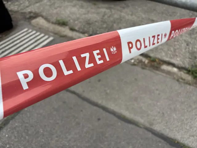 Jetzt sollen weitere Zeugen angehört werden. Auch die Auswertung von Videomaterial soll die Ermittlungen voranbringen. | Foto: Andreas Pölzl/MeinBezirk