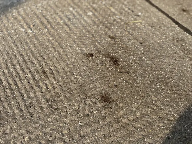 Blutspuren am Tatort. | Foto: Andreas Pölzl/MeinBezirk