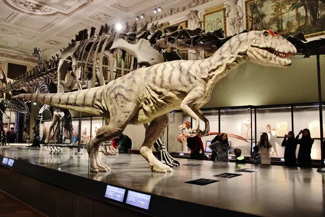 Im Naturhistorischen Museum (NHM) freut man sich über einen Besucherrekord, der im Juli erzielt wurde. Nicht nur das Wetter war dafür verantwortlich, lässt man wissen. (Archiv)