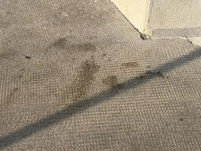 Blutspuren am Tatort. | Foto: Andreas Pölzl/MeinBezirk