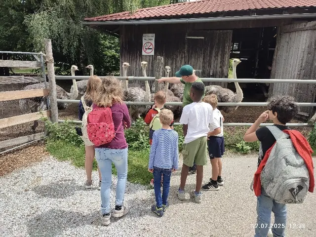 Ein großes Abenteuer und krönender Abschluss war der Besuch im Straußenland in Schönberg am Kamp. | Foto: Hollabrunner Lerntafel