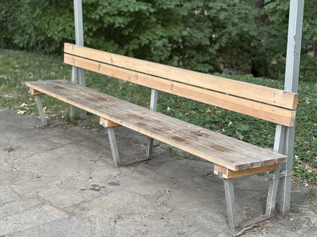 Auf dieser Parkbank soll es zur Bluttat gekommen sein. | Foto: Andreas Pölzl/MeinBezirk