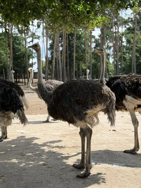 Foto: Hollabrunner Lerntafel