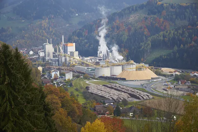 Warum es zum Brand kam, ist noch unklar. (Archivfoto) | Foto: Mondi/Knabl