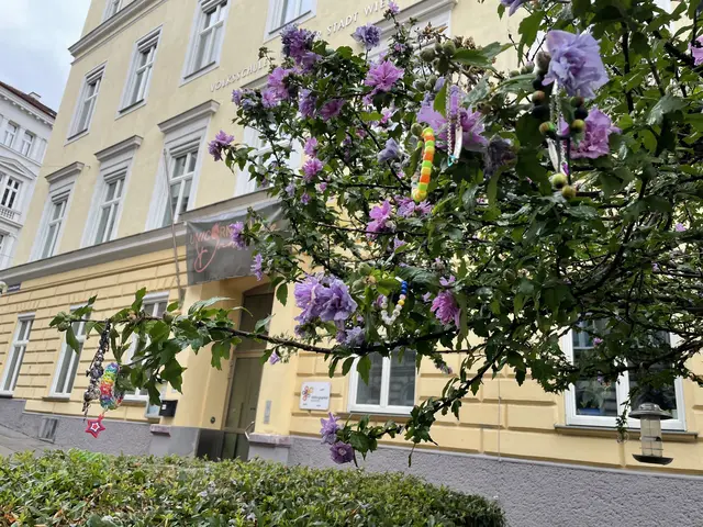 Die Corneliusgasse in Mariahilf hat sich zum Swifties-Treff etabliert. | Foto: Salme Taha Ali Mohamed/MeinBezirk