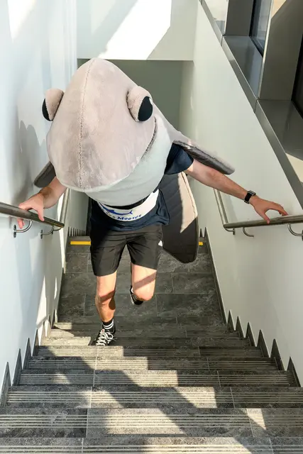 Auch im Kostüm lässt es sich über die Treppen flitzen. | Foto: Haus des Meeres