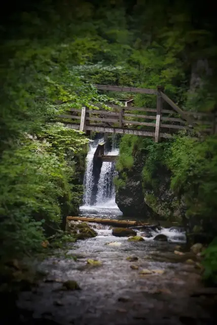 Natur-Erlebnisse im Mendlingtal in Göstling an der Ybbs | Foto: Eva Mitmasser