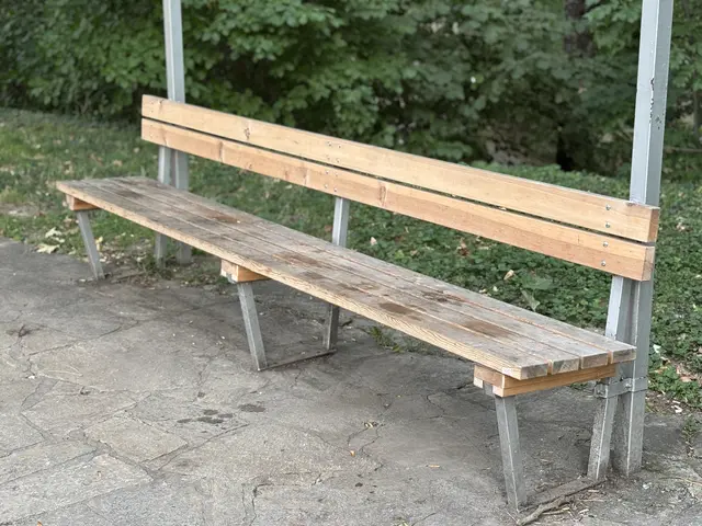 Foto: Andreas Pölzl/MeinBezirk