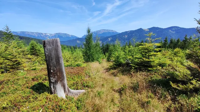 wunderbar zeigen sich die Schneealpe, Rax, und Große Scheibe... | Foto: I.Wozonig