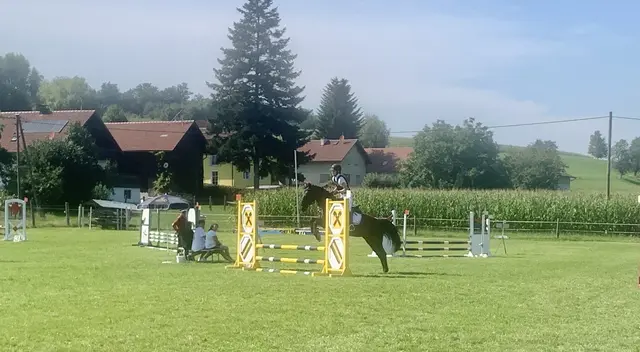 Neben Springbewerben stehen auch Dressurprüfungen und Bewerbe für die kleinsten auf dem Programm. | Foto: Reitverein Aurolzmünster