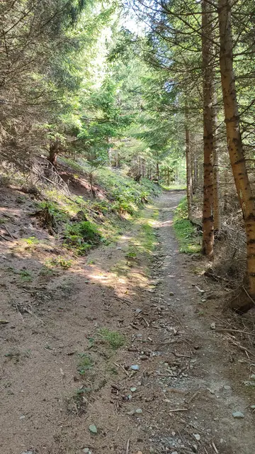 nun geht es auf einem Waldweg weiter... | Foto: I.Wozonig
