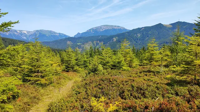 man spürt schon den baldigen Herbst... | Foto: I.Wozonig