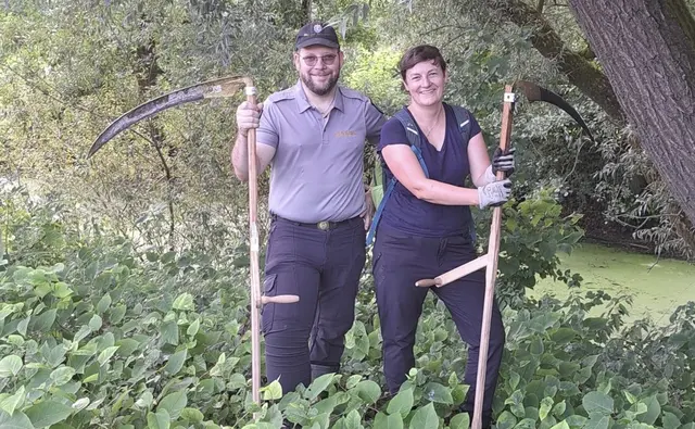 Durch ein gemeinsames Anpacken bekommen die Pfleger die eingedrungenen Pflanzen immer mehr in den Griff | Foto: Regionalmanagement Südweststeiermark GmbH - Naturpark Südsteiermark