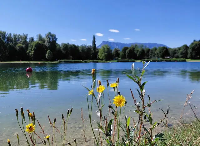 Laut Geosphere Austria bleibt das Wetter in Österreich bis einschließlich Montag überwiegend sonnig und heiß, mit Höchstwerten bis zu 36 Grad.  | Foto: H.Bachinger